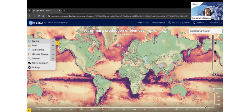 Screenshot: WEKEO training session on natural disasters